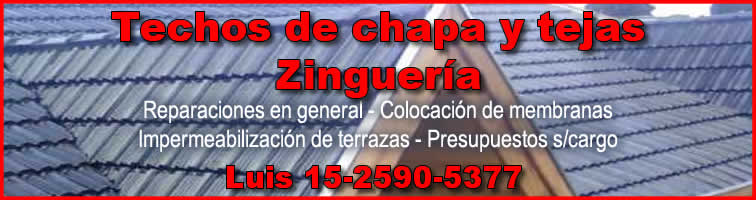 Telchista y zingueria, Luis